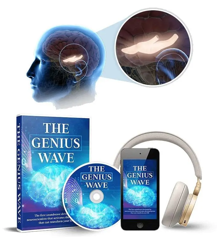 The Genius Wave Program